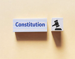 Constitution